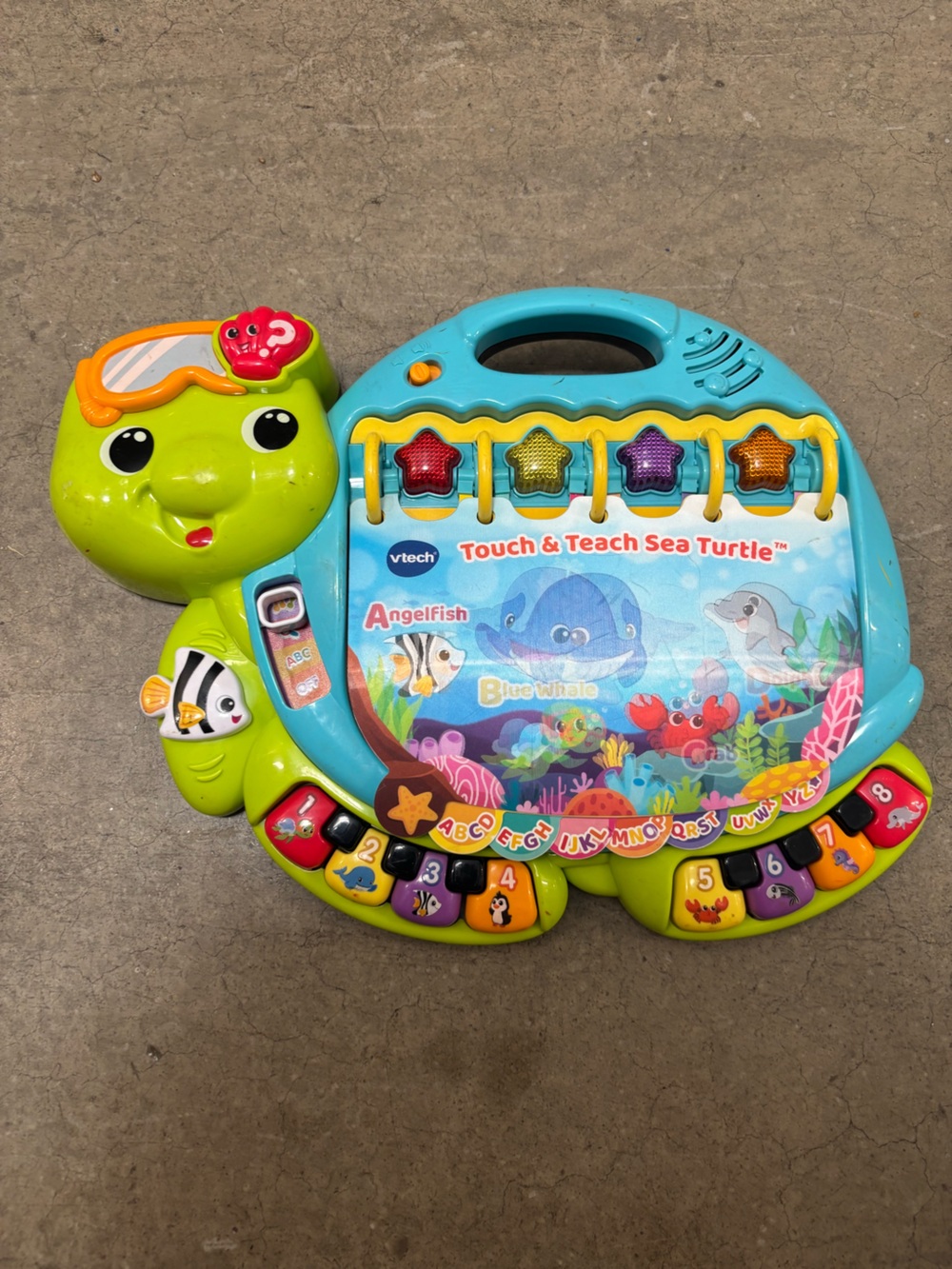 VTech Touch & Teach Sea Turtle - Blue and Green Interactive Learning Toy